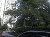 茅台花苑租房60元/月