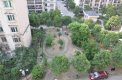 南方花园A组团