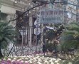 徐家汇花园