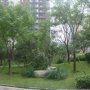 融科橄榄城
