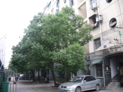 南京人口新村_南京梅园新村图片(3)