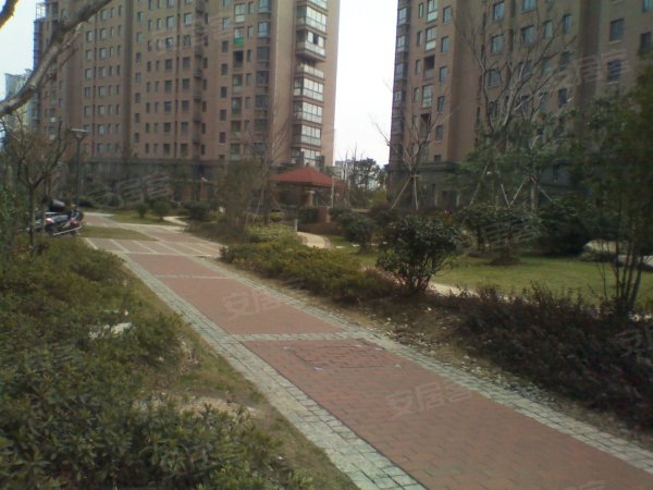 600x600.jpg