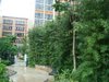 白金假日公寓租房200元/月