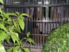 爱达花园租房2280元/月