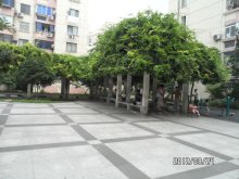 怎么在学校附近找房子 220x170.jpg