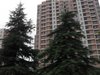 大华锦绣华城柳州苑租房950元/月