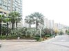 枫情水岸（一至二期）租房300元/月