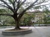 山泉小区租房1900元/月