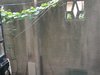 碧夏小区租房1000元/月
