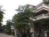 番禺奥林匹克花园租房2000元/月