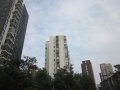 城邦花园