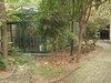 武夷路125号租房80000元/月