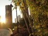 世茂运河城（一至三期）租房500元/月