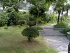 翠屏湾花园城租房2000元/月