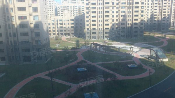 开发区滨海丰园,保税区租房,开发区高档小区超