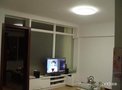 2居室 看装修租房1200元/月