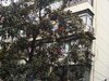 靖宇东路85弄租房3300元/月
