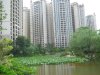 锦绣阳光花园租房1000元/月