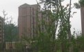 张江汤臣豪园三期,租房2400元/月