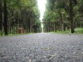 海鸥新村