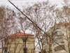 后标营28号租房1000元/月