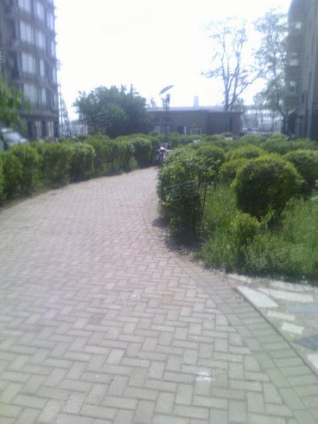 京东方大学好还是北京邮电大学继续教育学院好