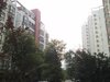 蓝岸亲水湾花园租房550元/月