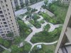 保利叶上海租房1000元/月