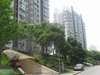 安信湖畔天地坊租房2200元/月
