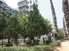 红岗花园租房900元/月