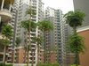 富豪山庄租房800元/月