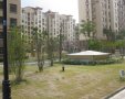 威尼斯水城