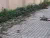 思南路新里洋房租房120000元/月