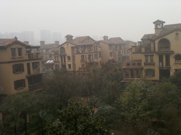 融科檀香山,武广新城租房,运达中央广场