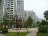 住嘉佳园租房500元/月