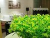 都市花园(一至五期)租房3500元/月
