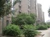 杨庄西村租房600元/月