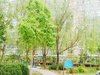 北方明珠租房2800元/月
