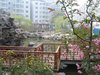 一品嘉园租房800元/月