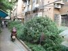 梨子山社区租房375元/月