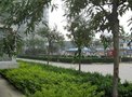上上城五期租房800元/月