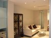 观城·中华路壹号租房5100元/月