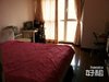 融科橄榄城租房8000元/月