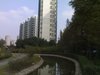 美丽星城租房1200元/月
