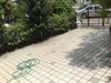 顺德碧桂园西苑租房3000元/月
