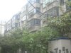 施井新村租房200元/月