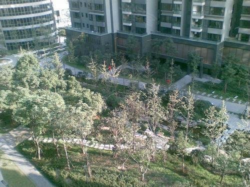 杭州租房人口_杭州出租房图片(3)
