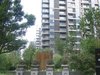 中大九里德租房500元/月