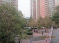 华清嘉园租房600元/月