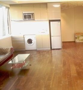 津塔公寓,劝业场租房,主推!海景房!临海河津